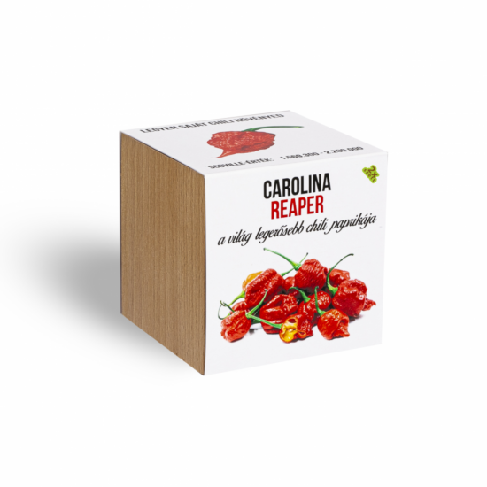 Carolina reaper chili paprika növényem fa kaspóban